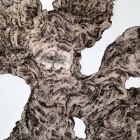 Anouck Manzoni, Creation, 2022