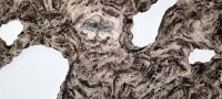 Anouck Manzoni, Creation, 2022