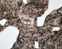 Anouck Manzoni, Creation, 2022