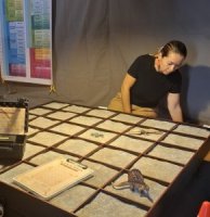 ESCAPE GAME&nbsp;: Urgence pal&eacute;o - Adultes